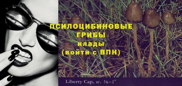 дживик Алексеевка