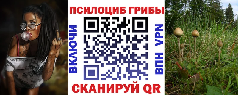 Галлюциногенные грибы MAGIC MUSHROOMS  блэк спрут ТОР  Дмитриев 